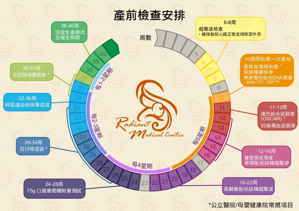 產前檢查時間表
